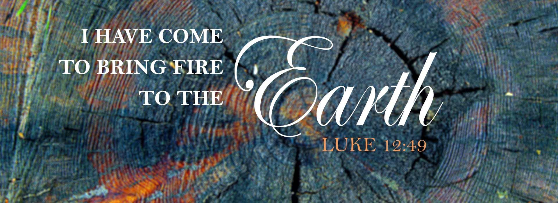 20th Sunday in Ordinary Time