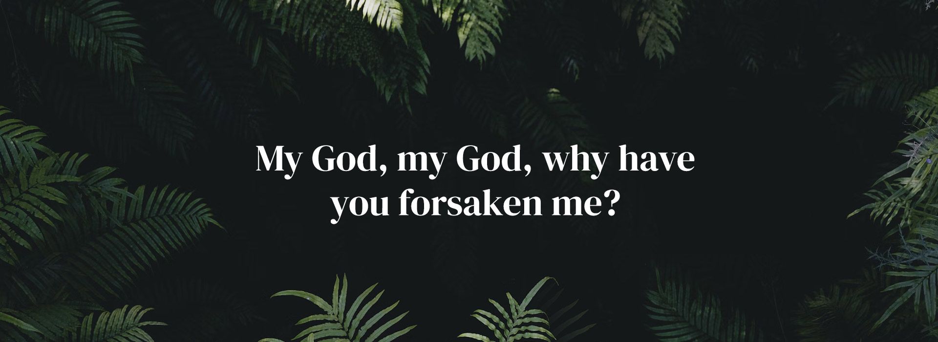Palm Sunday