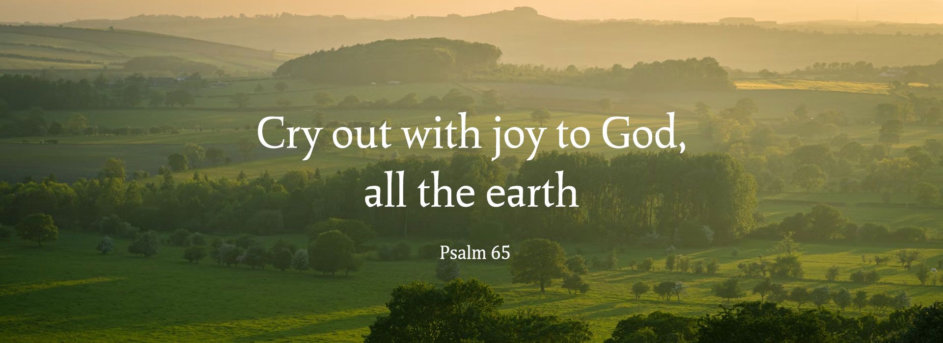 14th Sunday in Ordinary Time