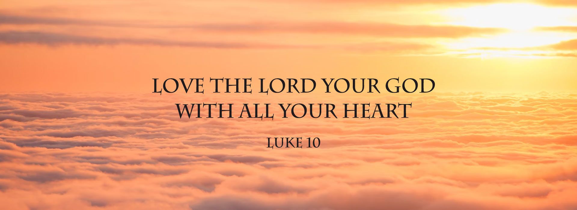 15th Sunday in Ordinary Time