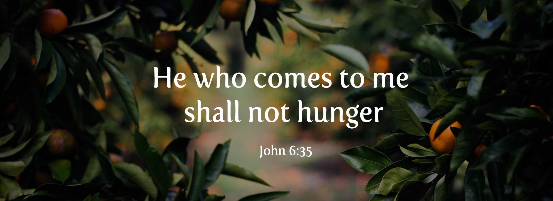 18th Sunday in Ordinary Time