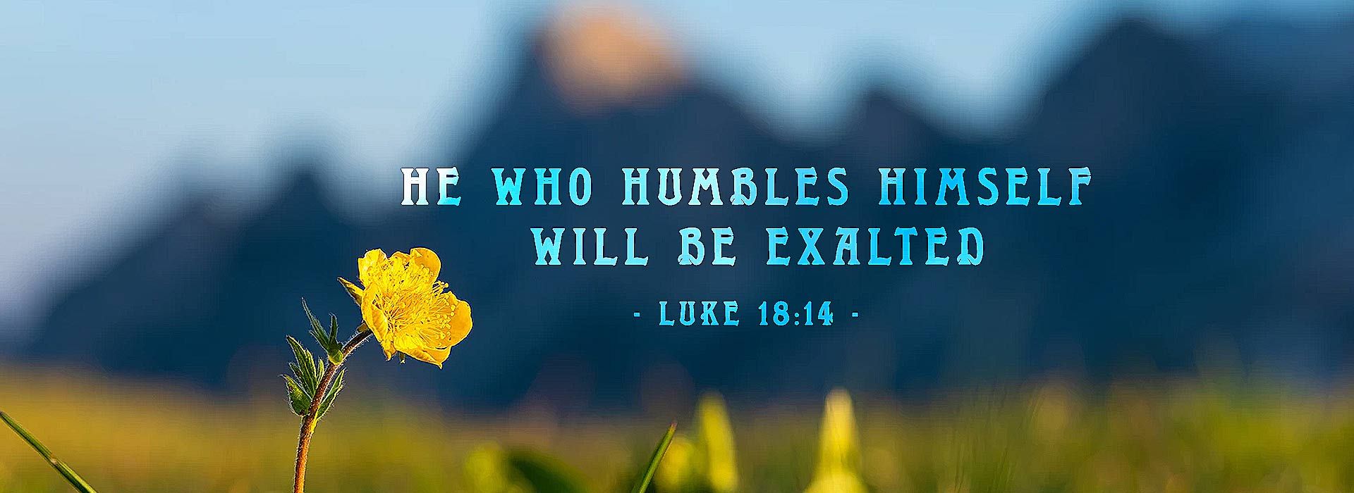 30th Sunday in Ordinary Time