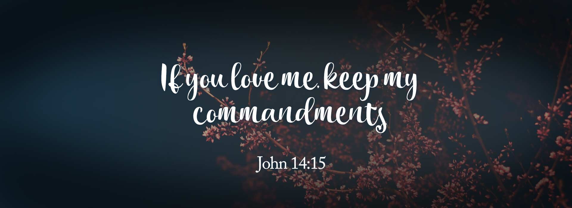 6th Sunday of Easter 2026