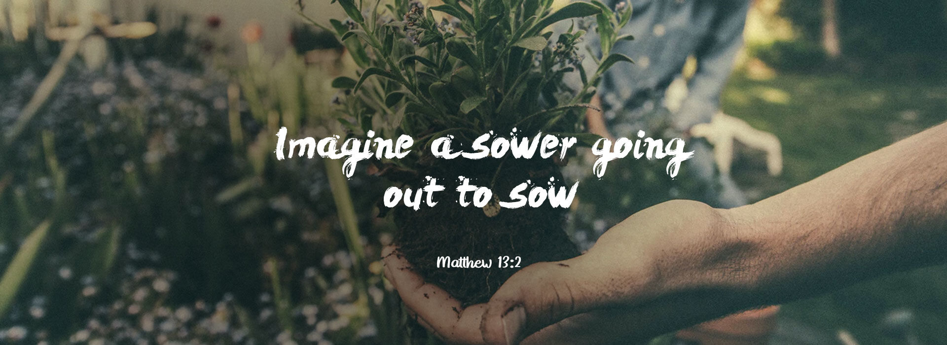 15th Sunday of Ordinary Time
