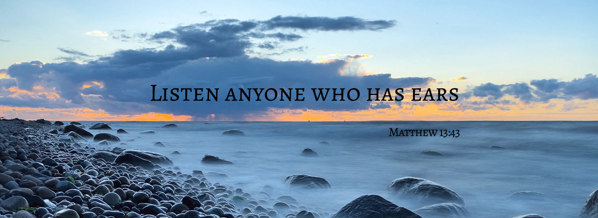 16th Sunday in Ordinary Time